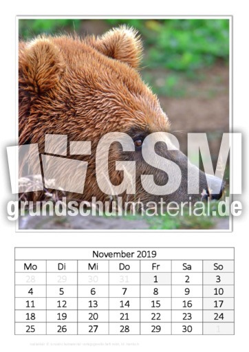 November_Kodiakbär_2.pdf